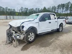 1FTEW1E52KKD21981 2019 FORD F-150