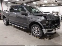 1FTEW1E52KKE30795 2019 FORD F-150