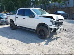 1FTEW1E53KFA45948 2019 FORD F-150