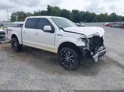 1FTEW1E53KFC79166 2019 FORD F-150