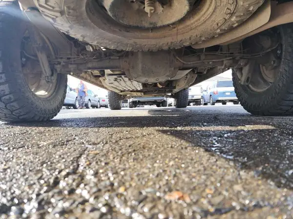 1FTEW1E53KKD31242 2019 FORD F-150 - Image 2