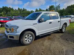 1FTEW1E53LFC68847 2020 FORD F-150