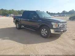 1FTEW1E54KFB49798 2019 FORD F-150