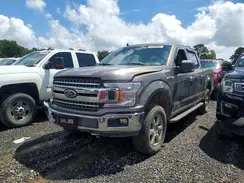 1FTEW1E54LKD30019 2020 FORD F-150