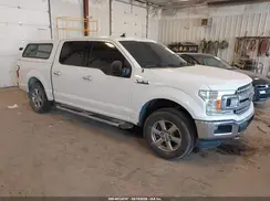 1FTEW1E55KFA45563 2019 FORD F-150