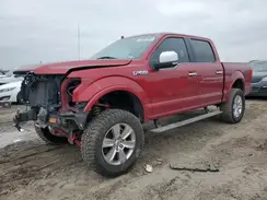 1FTEW1E55KFB28037 2019 FORD F-150