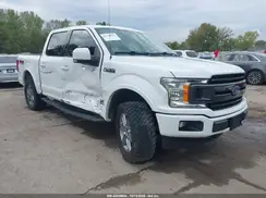 1FTEW1E55KFD29064 2019 FORD F-150