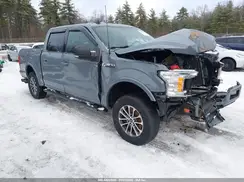 1FTEW1E55KKE28233 2019 FORD F-150
