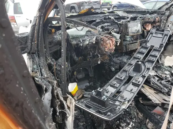 1FTEW1E56JFC31157 2018 FORD F-150 - Image 8