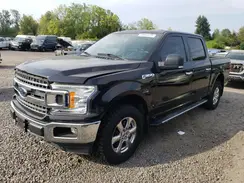 1FTEW1E56KKF29359 2019 FORD F-150