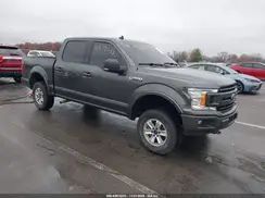 1FTEW1E56LFB72159 2020 FORD F-150