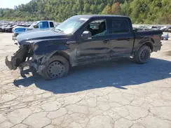 1FTEW1E57KFA33365 2019 FORD F-150