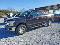 1FTEW1E57KFB20392 2019 FORD F-150