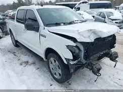 1FTEW1E57KFC50317 2019 FORD F-150