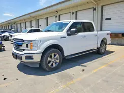 1FTEW1E57KKC07703 2019 FORD F-150