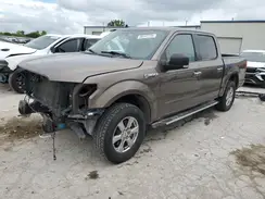1FTEW1E57KKC71739 2019 FORD F-150