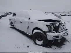 1FTEW1E57KKD51266 2019 FORD F-150