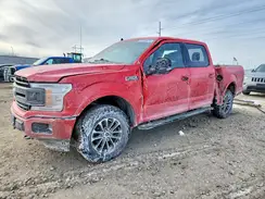 1FTEW1E57LFA84723 2020 FORD F-150