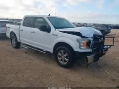 1FTEW1E58KKD77181 2019 FORD F-150