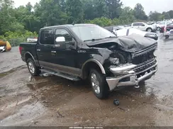 1FTEW1E59KFB18241 2019 FORD F-150