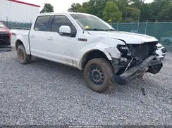 1FTEW1E59KFD44103 2019 FORD F-150