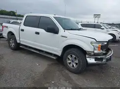 1FTEW1E59KKC11770 2019 FORD F-150
