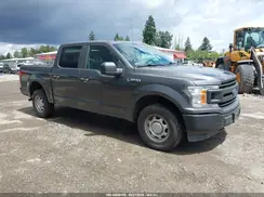1FTEW1E59KKD38132 2019 FORD F-150