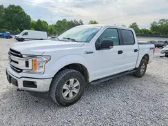 1FTEW1E59KKD52385 2019 FORD F-150