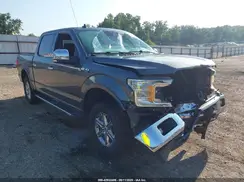 1FTEW1E5XKFA92393 2019 FORD F-150