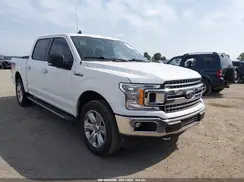 1FTEW1E5XKFD49892 2019 FORD F-150