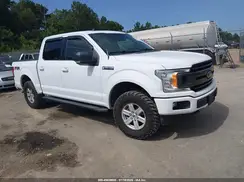 1FTEW1E5XKKE02842 2019 FORD F-150