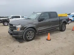 1FTEW1E5XKKE57338 2019 FORD F-150