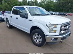 1FTEW1E80GFC00263 2016 FORD F-150