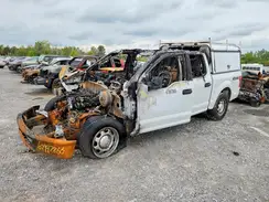 1FTEW1E80HFB53740 2017 FORD F-150