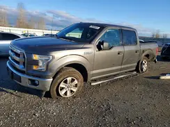 1FTEW1E80HKD44565 2017 FORD F-150