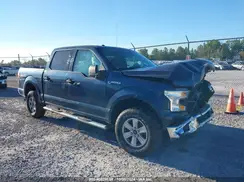 1FTEW1E80HKD44632 2017 FORD F-150