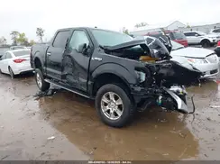 1FTEW1E81GFB72554 2016 FORD F-150