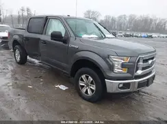 1FTEW1E81GFC59306 2016 FORD F-150