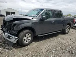 1FTEW1E81HFA72455 2017 FORD F-150