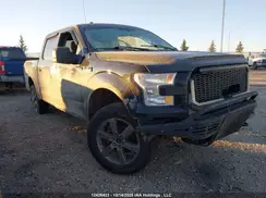 1FTEW1E81HFC15176 2017 FORD F-150