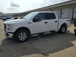 1FTEW1E81HKD15849 2017 FORD F-150