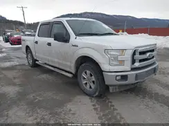 1FTEW1E82HFB12039 2017 FORD F-150