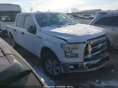 1FTEW1E82HKD45460 2017 FORD F-150