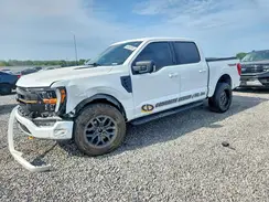 1FTEW1E82PFC16674 2023 FORD F-150