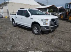 1FTEW1E83GFA41125 2016 FORD F-150