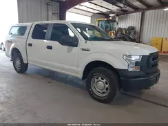 1FTEW1E83HFB90765 2017 FORD F-150