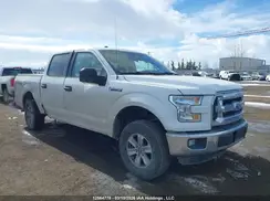 1FTEW1E84GFA40856 2016 FORD F-150
