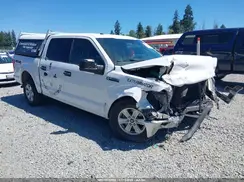 1FTEW1E84HKD74703 2017 FORD F-150