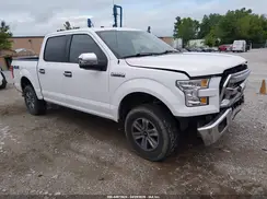 1FTEW1E87GFC59259 2016 FORD F-150