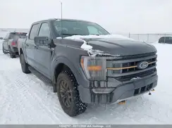 1FTEW1E87PFA98010 2023 FORD F-150